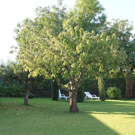 Landsitz Ruegen Διαμέρισμα Glowe Εξωτερικό φωτογραφία